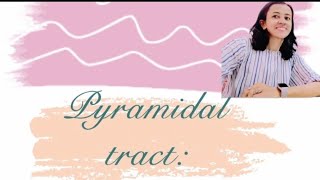 Descending Tracts  Corticospinal Tract  Pyramidal Tract [upl. by Leanne932]