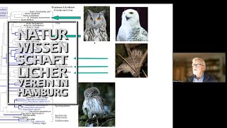 Ein neuer Stammbaum der Vögel – Bedeutung der DNAForschng für Taxonomie und Systematik [upl. by Gnek574]