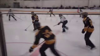 2016 U14B Ringette Provincials Indus vs Leduc [upl. by Eniamej]