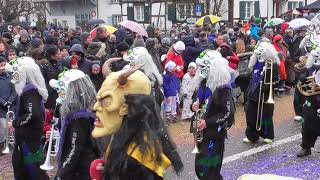 Guggemusig Moskito Würger Diepflingen  Allschwiler Fasnacht 2018 [upl. by Mullen]