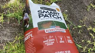 Pennington Smart Patch Bermudagrass Review [upl. by Koloski]