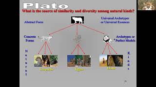 Plato and the theory Forms [upl. by Aitak]