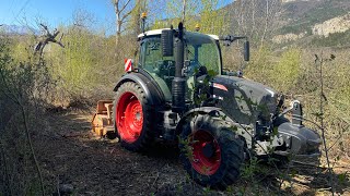 Un peu de broyeur forestier pour nettoyer une parcelle [upl. by Alcot198]