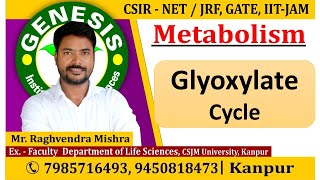 Glyoxylate Cycle  Metabolism CSIR NETJRF  GATE  Life science  biotechnology  ICMR [upl. by Sargent293]