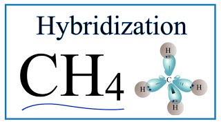 Hybridization of CH4 description of hybrid orbitals for Carbon [upl. by Amaty200]