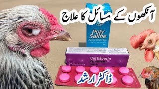 Chicken Eye Problems  Poultry Eyes Disorders  Prevention and Treatment  Dr ARSHAD [upl. by Cherida]