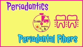 PERIODONTAL FIBERS  PRINCIPAL FIBERS  PERIODONTICS  EASY DENTAL LECTURE  5 min DENTISTRY [upl. by Massimo]