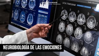 Neurobiología de las emociones Explorando las EMOCIONES humanas desde un enfoque neurocientífico [upl. by Vasileior]