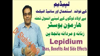 Lepidium لپیڈیم Uses Side Effect and Dosage [upl. by Shiverick]