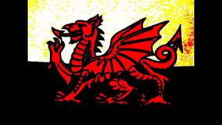 Y Ddraig Goch  Red Dragon of Wales Poem  TigerPoet [upl. by Irisa981]