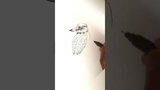 kingfisher drawing art [upl. by Somar]