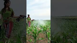 atomizing nozzle orchard sprayersprayerelectric sprayerpesticide sprayingshortsyoutubeshorts [upl. by Yenttihw]