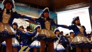 Carneval Club Haimbach 1961 eV Auftritt vom 01022014 in Hosenfeld [upl. by Toshiko]