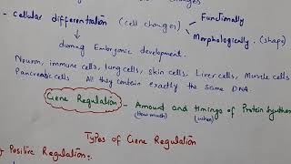 Regulation of Gene Expression class12 Biology [upl. by Quick]