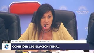 COMISIÓN COMPLETA LEGISLACIÓN PENAL  8 de mayo de 2024  Diputados Argentina [upl. by Corly]