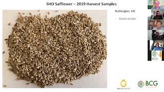 BCG amp GoResources  Safflower Harvest Webinar [upl. by Kalinda742]