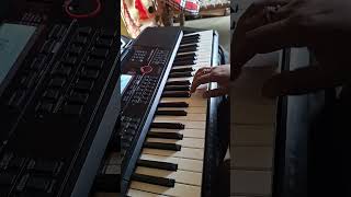 Bin Sajni Ke Jeevan casioctx9000in casiokeyboardhindisongs pianomusic casioctx8000in [upl. by Windham]