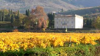 La tua vacanza in Valpolicella  Strada del vino Valpolicella [upl. by Casandra]