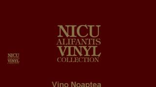 Nicu Alifantis  Vino noaptea [upl. by Erodoeht]