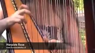 Harpiste Rose  klassieke harp achtergrondmuziek  harp muziek [upl. by Carmelina986]