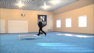 Max Schnoodle Boot Camp Dog Training Video [upl. by Absalom]