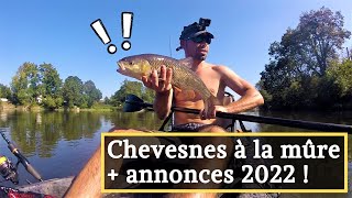 PECHE A LA MURE DU CHEVESNE  ANNONCE OUVERTURE CARNASSIER 2022 [upl. by Osnola]