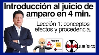 JUICIO DE AMPARO Introducción en 4 minutos [upl. by Farhsa448]