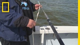 Fishing Tips How to Rig a Harpoon  Wicked Tuna Outer Banks [upl. by Ollehto]