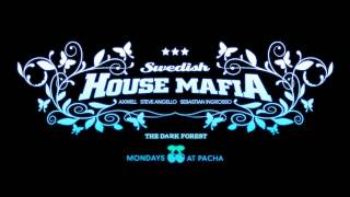 Swedish House Mafia  Miami 2 Ibiza Sebastian Ingrosso vs Pat Aguilera Intro Edit [upl. by Jews347]