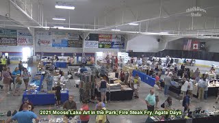 Moose Lake Art in the Park Fire Steak Fry Agate Days 2021 [upl. by Neeliak]