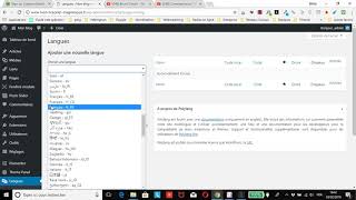 WordPress  ajouter 1 langue à Polylang sur son site multilingue [upl. by Adnirod]