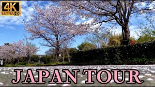 BEST GORGEOUS JAPAN TOUR [upl. by Carita]