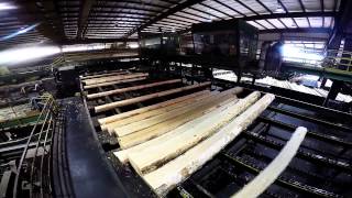 Collums Lumber Products LLC  Sawmill Tour [upl. by Komsa576]