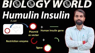 Humulin Insulin in Bio Tech Part1biologyworldsharmasir biology trending education khansir [upl. by Atsok]