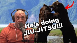 Joe Rogan BEAR vs TIGER vs LION  The Ultimate Animal Combat [upl. by Assenab323]