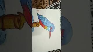 kingfisher DRAWING 💯💯💯 [upl. by Kissiah]