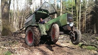 Waldarbeit  Vom Holz zum Brennholz [upl. by Dowd102]