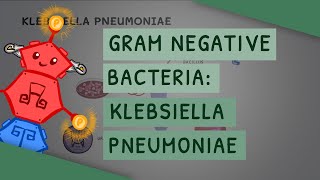 Gram Negative Bacteria Klebsiella pneumoniae [upl. by Neala]