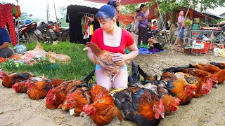 Harvesting Many Chicken Rooster goes to the market sell  Building farm  Phuong Daily Harvesting [upl. by Kaltman]