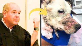 Judge Sick of Animal Abusers Gives Them a Taste of Their Own Medicine [upl. by Ran973]