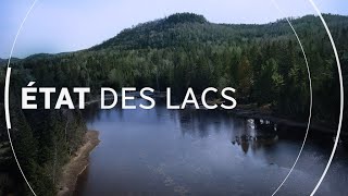 L’état des lacs au Québec  en mission pour se débarrasser des moules zébrés [upl. by Ahsiem]