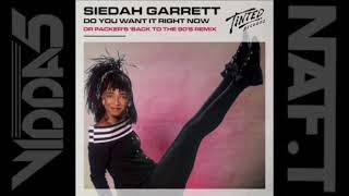 SIEDAH GARRETT do you want it right now dr packers back to the 90s extended mix [upl. by Ezmeralda]