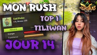 RUSH SERV J14  First LVL 200 TILIWAN 1 DOFUS TOUCH [upl. by Menedez480]