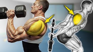 6 Best Rear Delt Exercises at Gym [upl. by Atidnan]