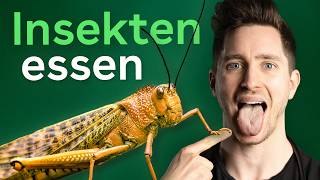 Insekten essen Ist das gesund [upl. by Nattie]