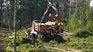 KOMATSU 951 C144 AND KOMATSU 895 LOGGING SWEDEN [upl. by Burny]