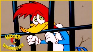 Woody Woodpecker Show  1 Hour Compilation  Cartoons For Children [upl. by Eilram]