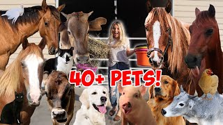 FEEDING ALL MY PETS IN ONE VIDEO  40 ANIMALS NEW BARN [upl. by Maibach867]