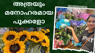 അത്രയും മനോഹരമായ പൂക്കളോ  Flower Market [upl. by Eceeryt]