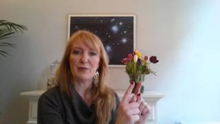 Horoscope Gemini April 2016 with Veerle [upl. by Cade721]